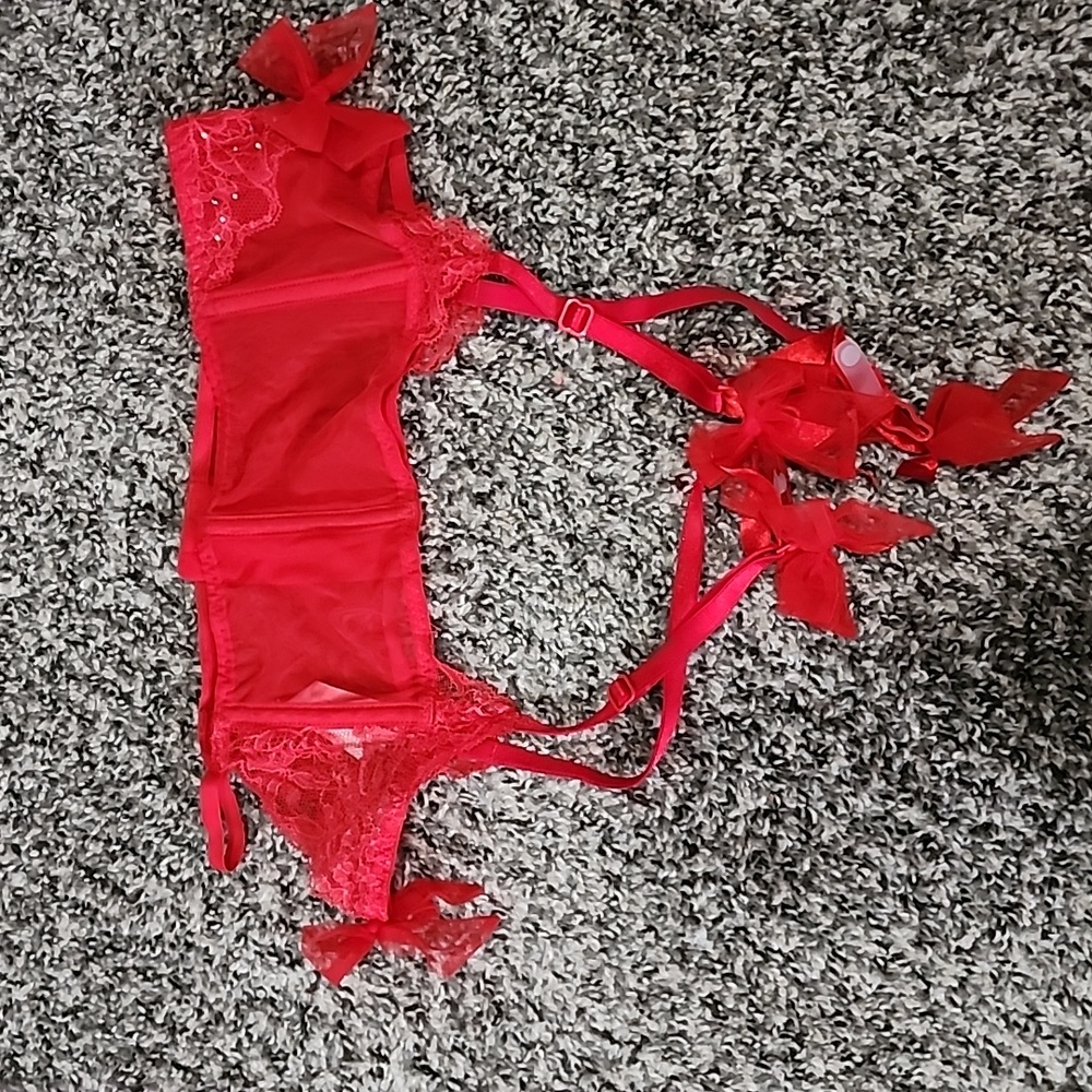 Victoria's Secret 2012 Holiday Collection Garter Belt